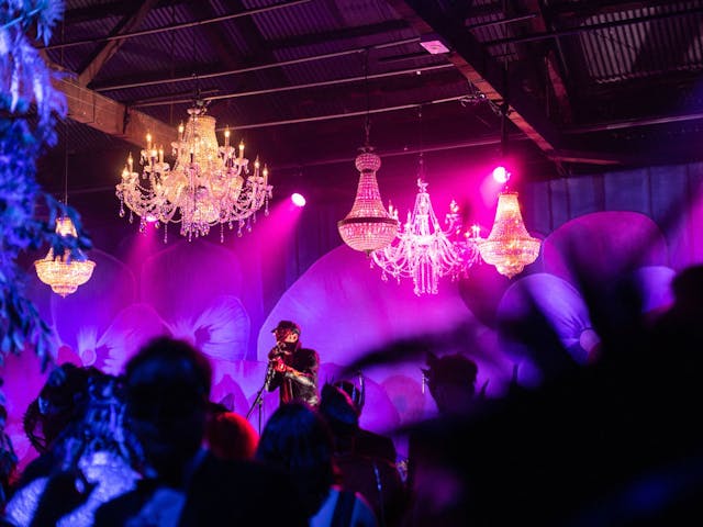 A performer on stage at the Blue Velvet Lounge. Several chandeliers hang from the ceiling.