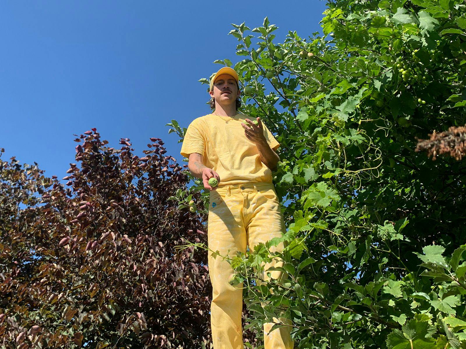 Sullivan standing inside a large tree.