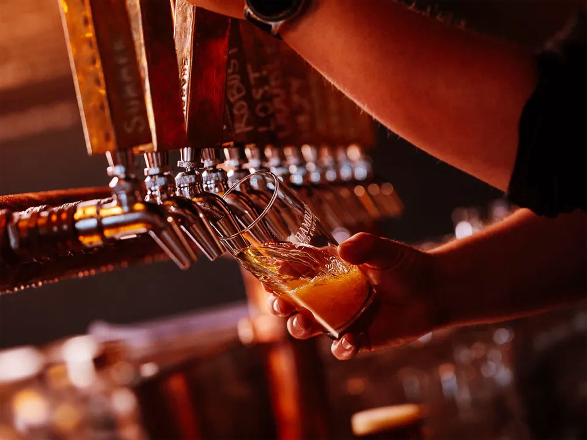 A person pouring a tap beer
